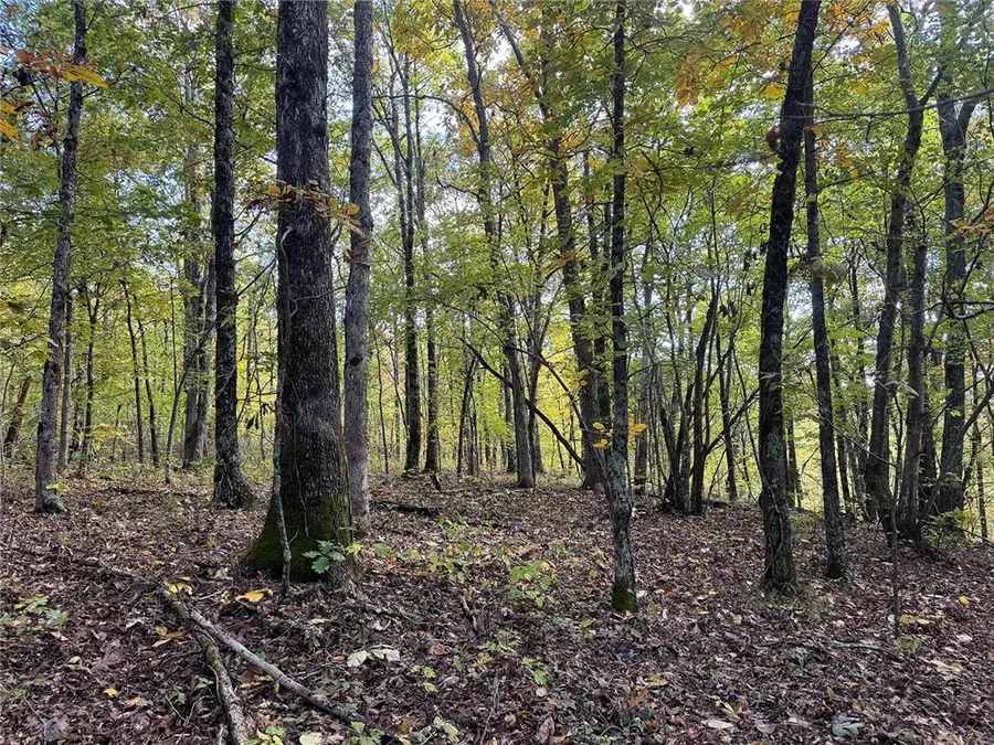 TBD 8 AC Ar 7 South, Pelsor, AR 72856 - Image #2