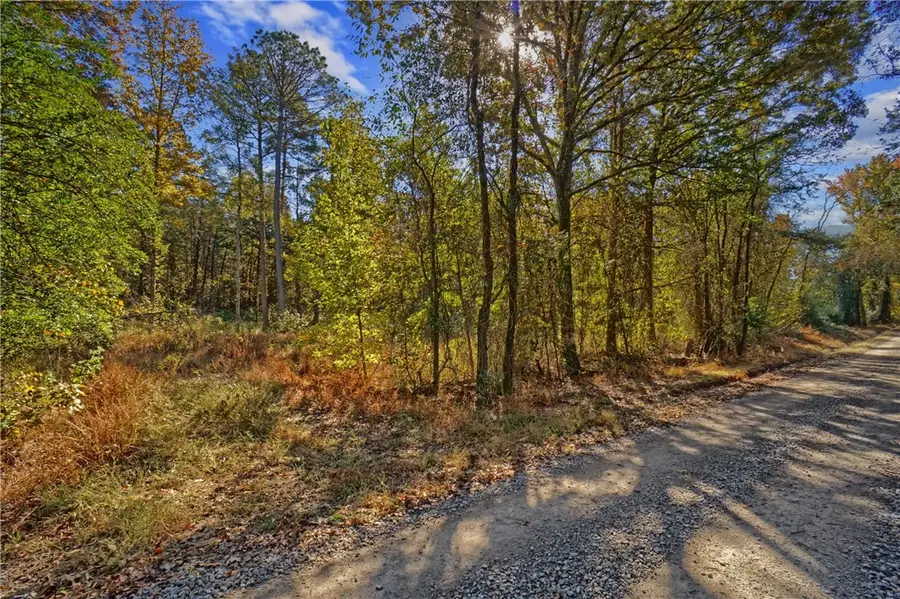 Lot 6 Melvin Lane, Dover, AR 72837 - Image #2