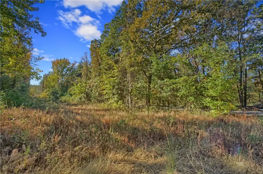 Lot 6 Melvin Lane, Dover, AR 72837 - Image #3