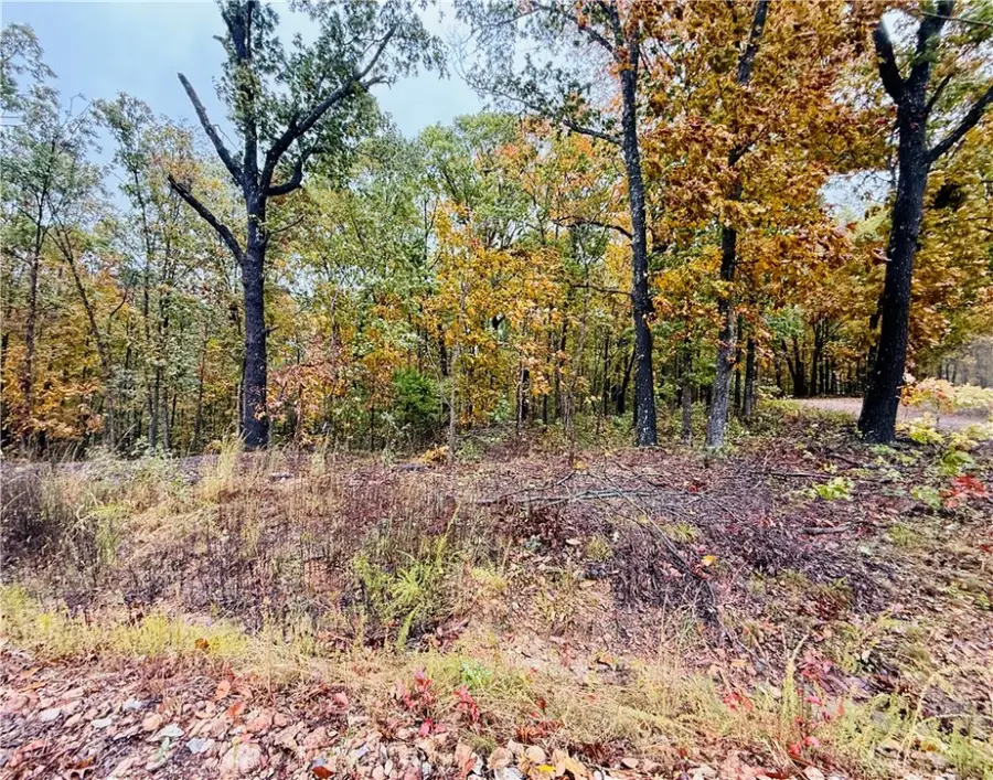 Runcorn Lane, Bella Vista, AR 72714 - Image #2