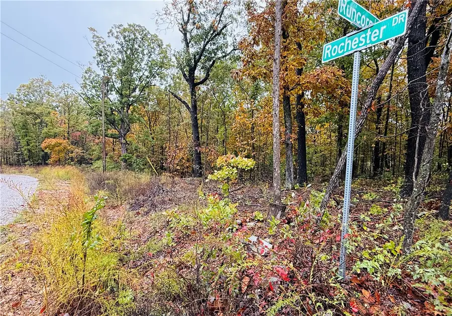 Runcorn Lane, Bella Vista, AR 72714 - Image #3