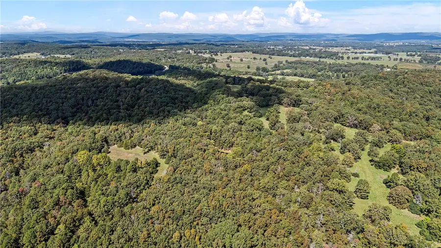 TRACTS 2 & 3 - 13610 N Sr 105, Hector, AR 72843 - Image #2