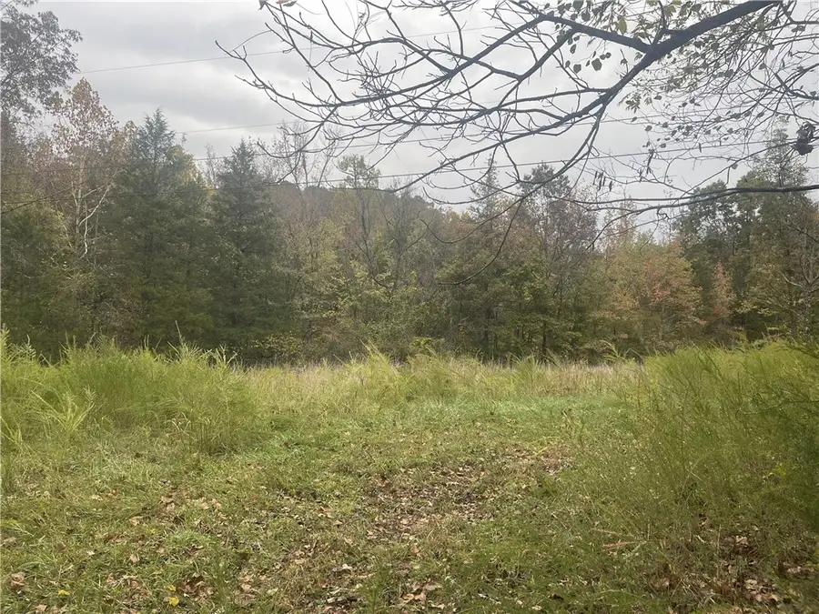 618 Driftwood Drive, Pineville, AR 72566 - Image #2