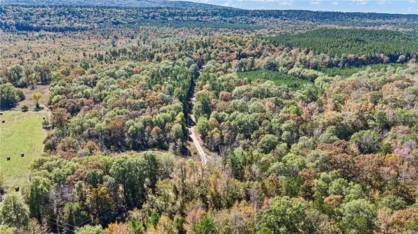307 307 Highway, , AR 72827