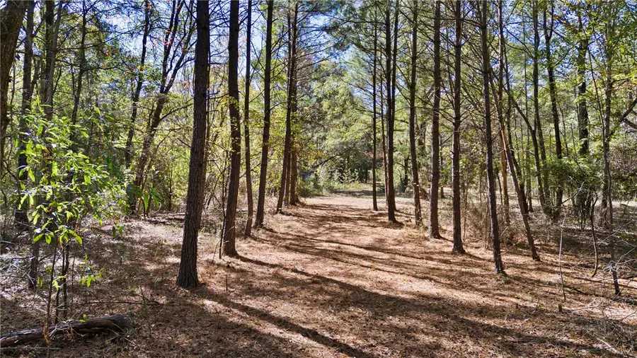 307 307 Highway, Bluffton, AR 72827 - #3