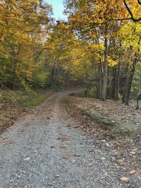 14400 Hwy 103, Oark, AR 72852 - Image #2