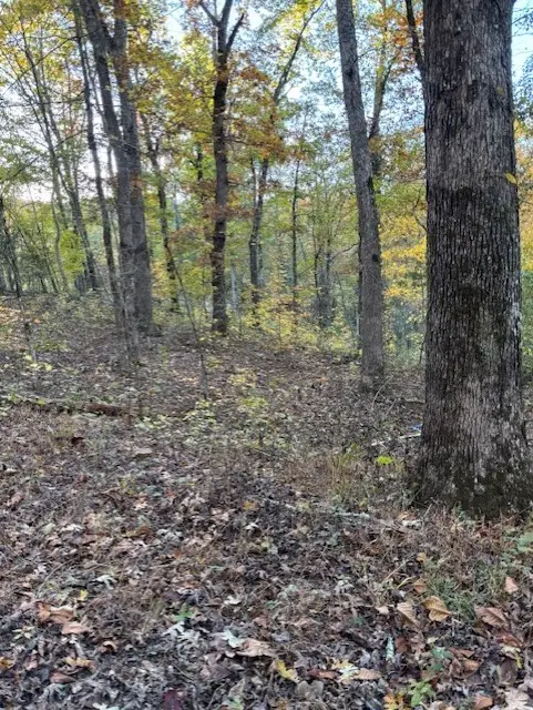 14400 Hwy 103, Oark, AR 72852 - Image #3