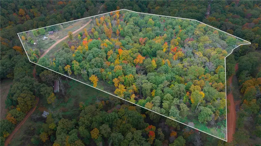 4307 Private Road 2217, Washburn, MO 65772 - Image #2