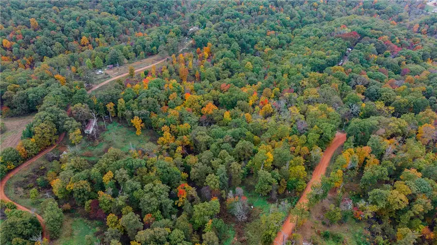 4307 Private Road 2217, Washburn, MO 65772 - Image #3