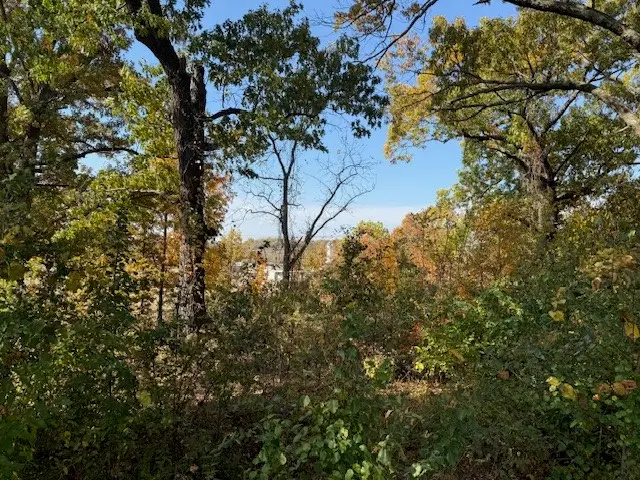 Champions Boulevard, Rogers, AR 72758 - Image #3