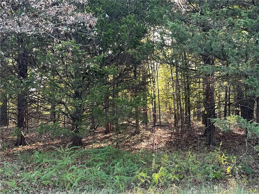 001 Hand Cove Road, Elizabeth, AR 72531 - Image #3