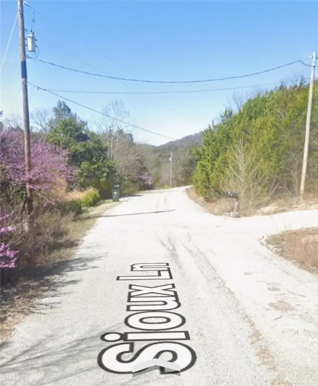 9 Sioux Lane, Holiday Island, AR 72631 - Image #3