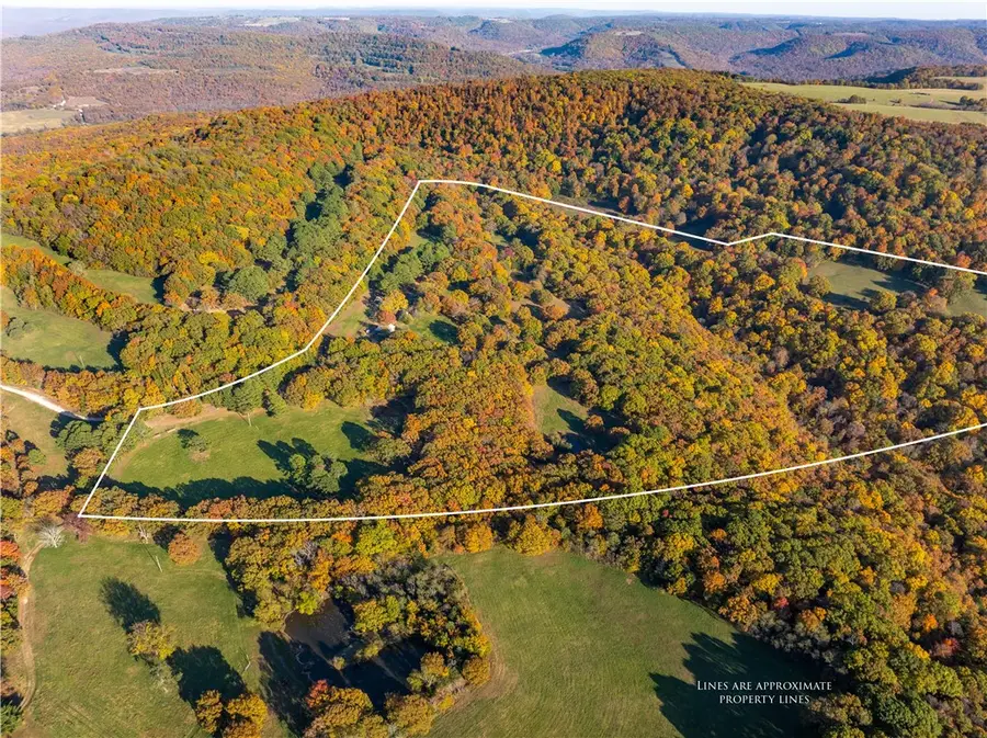 16075 Chocolate Flats, Fayetteville, AR 72701 - Image #3