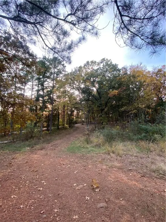 13133 Old Turner Road, Mountainburg, AR 72946 - Image #2