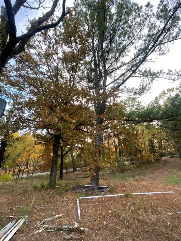 13133 Old Turner Road, Mountainburg, AR 72946 - Image #3