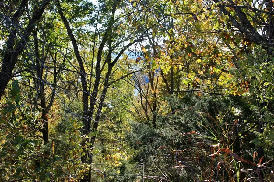 001 TBD Mundell Road, Eureka Springs, AR 72631 - Image #2