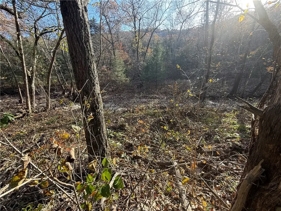 TBD Valley Drive, Holiday Island, AR 72631 - Image #2