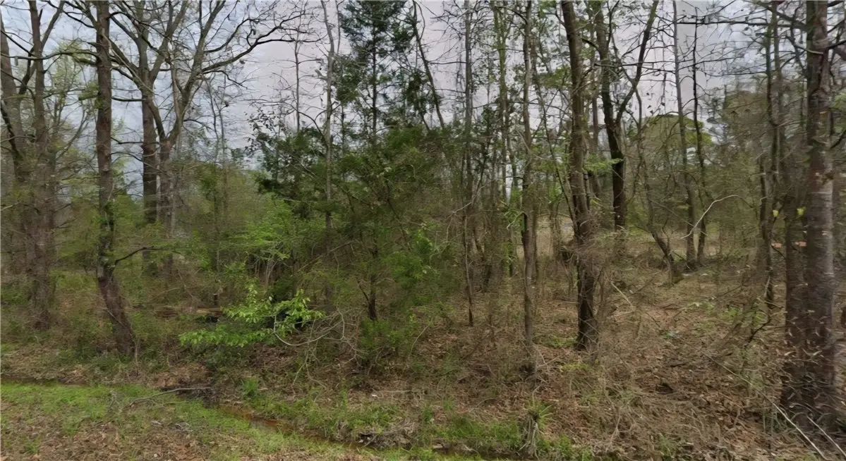 520 Oklahoma Street, Camden, AR 71701 - Image #1