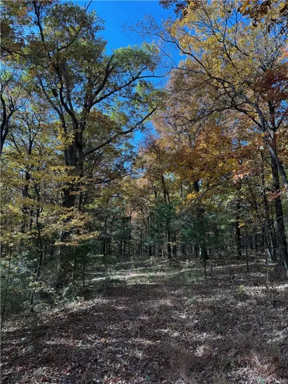 14710 Summer Shade Road, West Fork, AR 72774 - Image #2