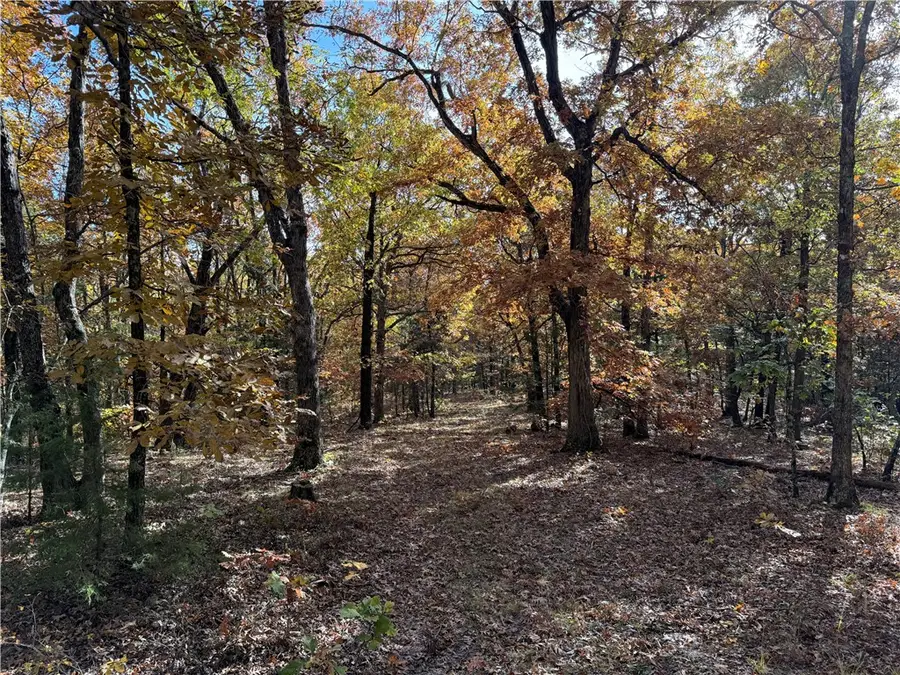 14710 Summer Shade Road, West Fork, AR 72774 - Image #3