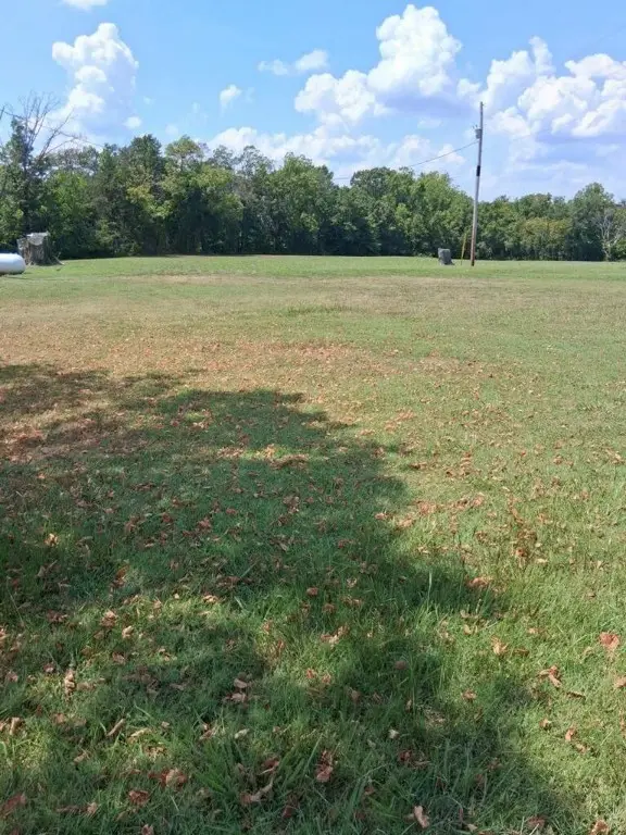 Walnut Street, Seligman, MO 65745