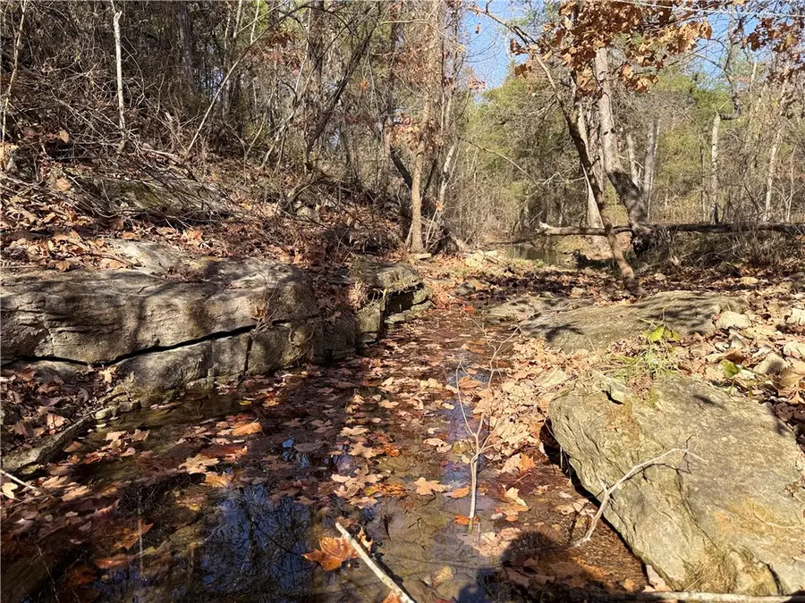 Owens Lane, Peel, AR 72668 - Image #2