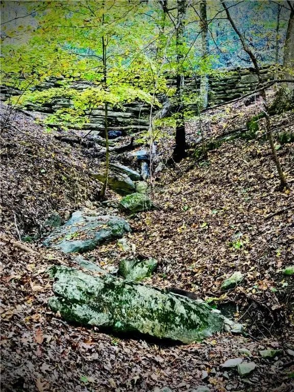LOT # 11 Jackson Ridge, Eureka Springs, AR 72631 - Image #3