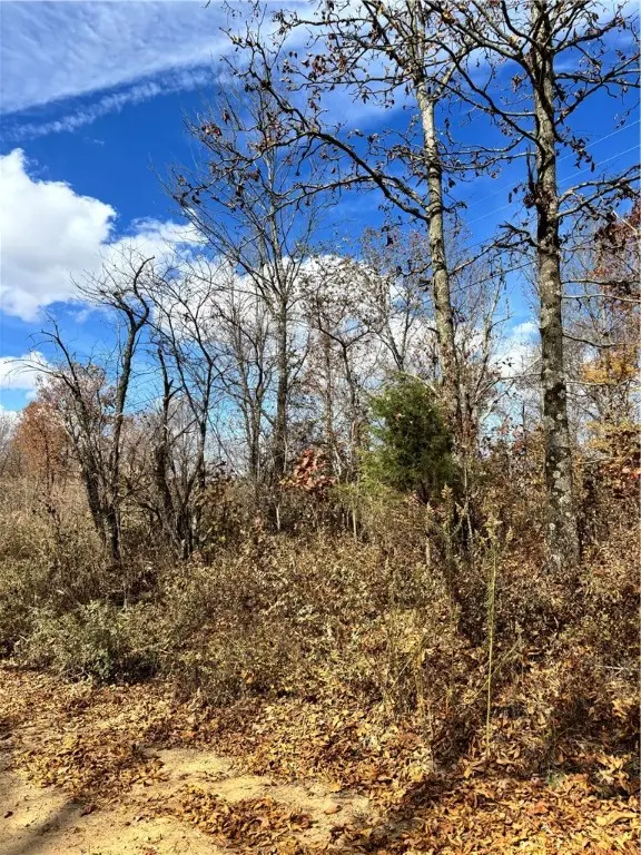 TBD Cr 5261, Oark, AR 72852 - Image #1