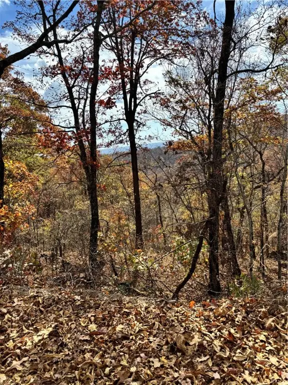 TBD Cr 5261, Oark, AR 72852 - Image #2