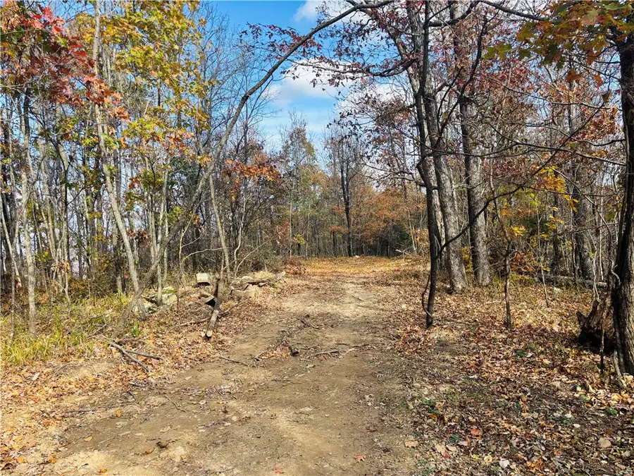 TBD Madison 4476 Road, Elkins, AR 72727 - Image #2