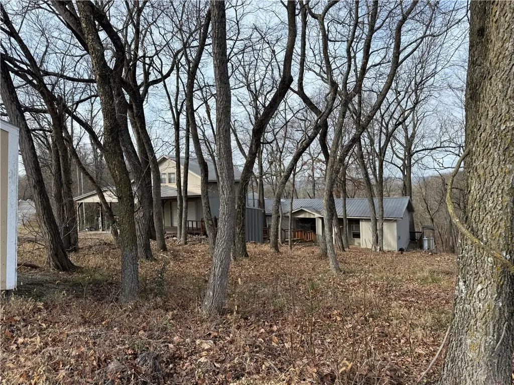 101 Saturn Avenue, Holiday Island, AR 72631 - Image #1