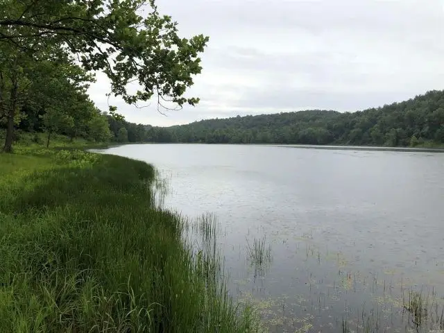 Rainey Drive, Hattieville, AR 72063 - Image #3