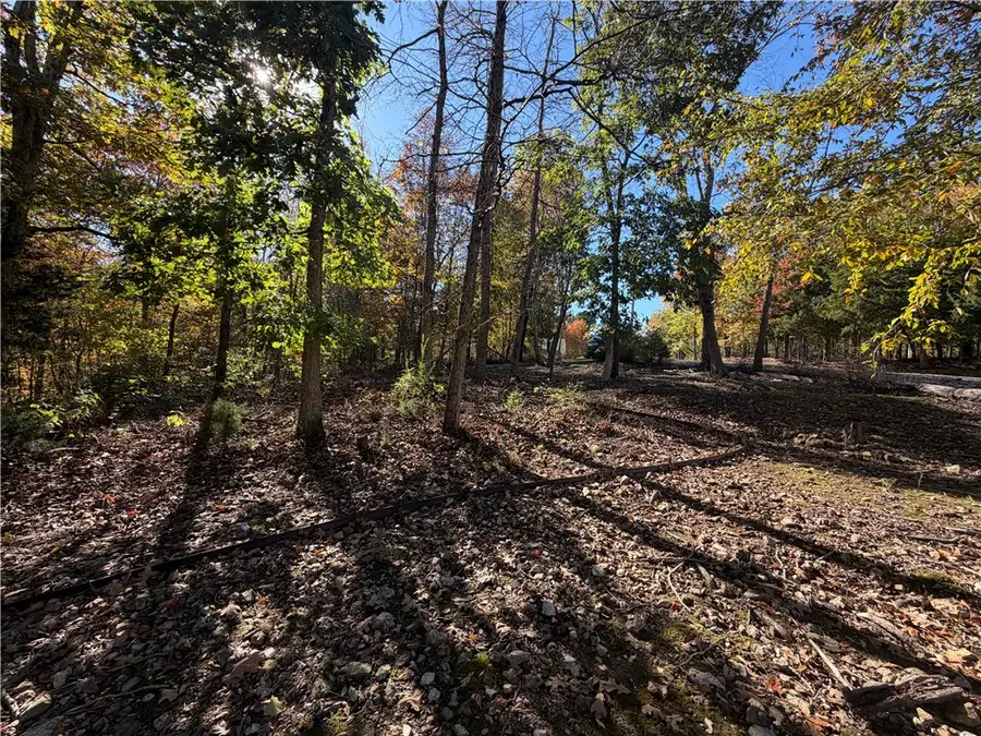 10 Talana Lane, Bella Vista, AR 72715 - Image #2