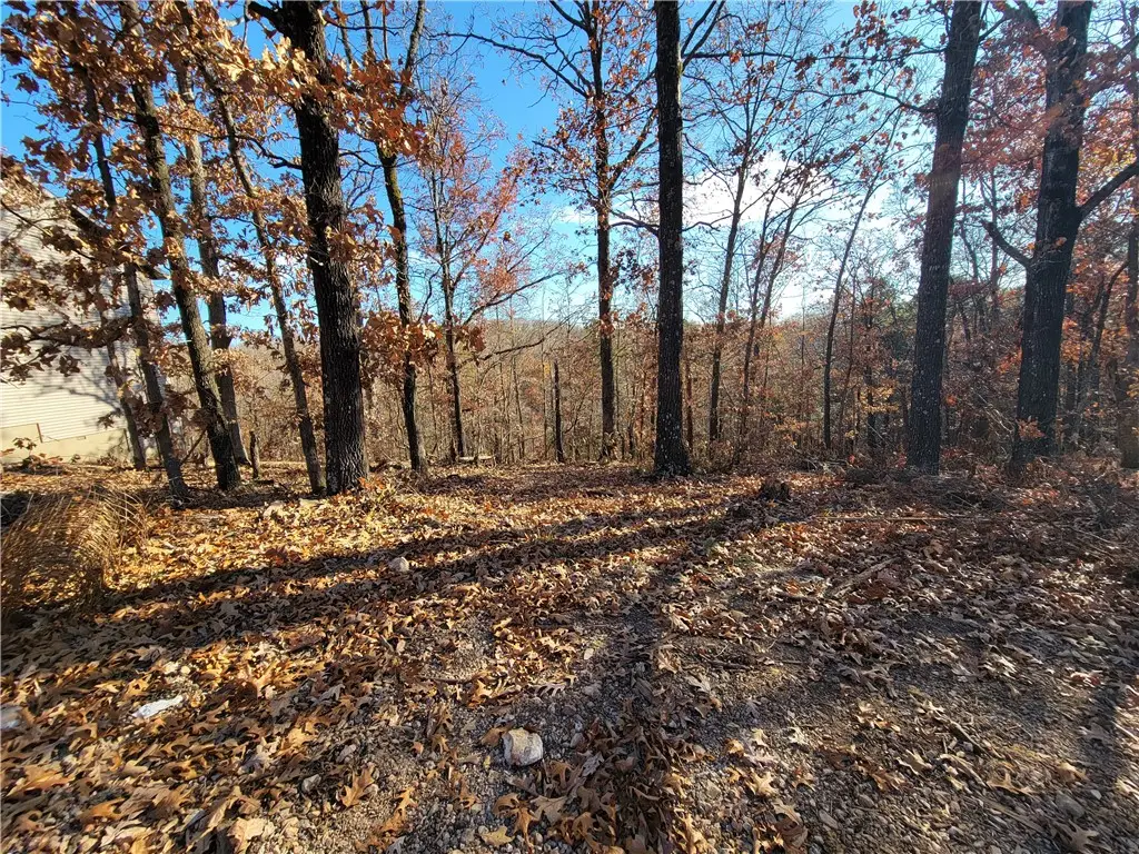 Lot 49 Shefford Lane, Bella Vista, AR 72714 - Image #1