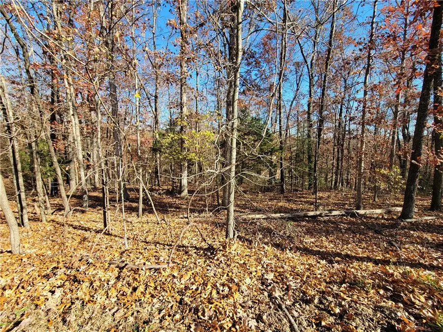 Lot 7 Brixton Lane, Bella Vista, AR 72714 - Image #2