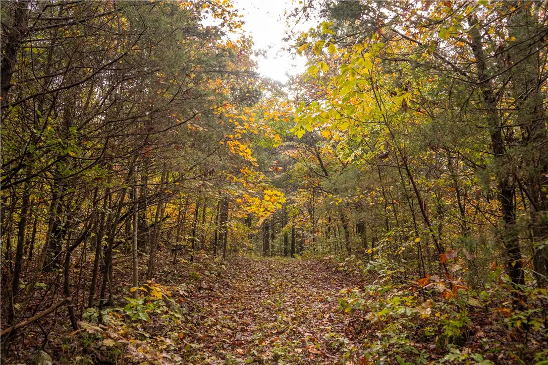 31667 74, Kingston, AR 72742 - Image #1