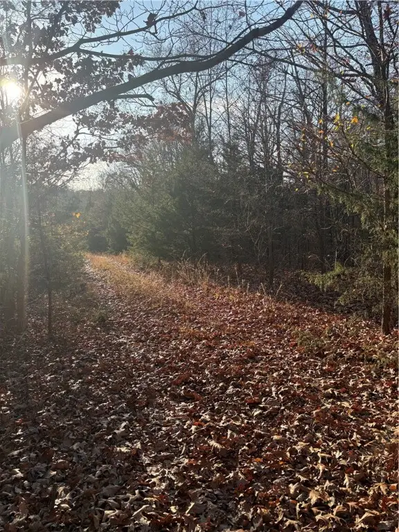 Gainford Drive, Bella Vista, AR 72714 - Image #3