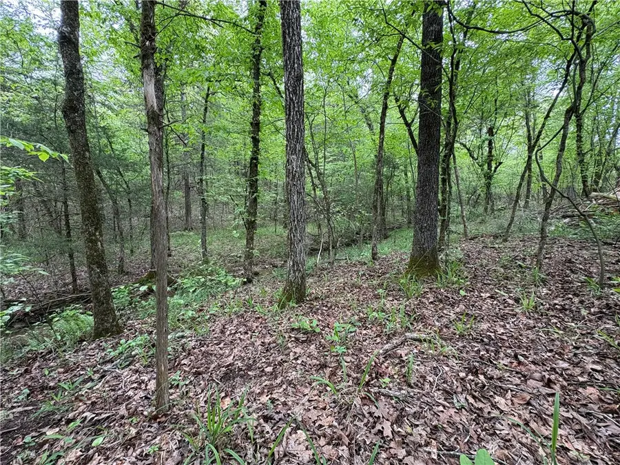 Tract 7 Nwf 517, Hopper, AR 71935 - Image #2