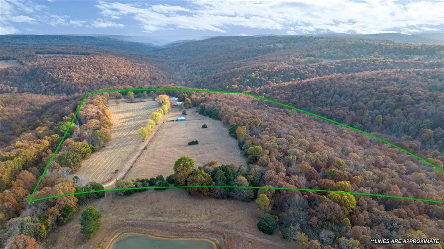 14931 Friendship Church Road, West Fork, AR 72774 - #3