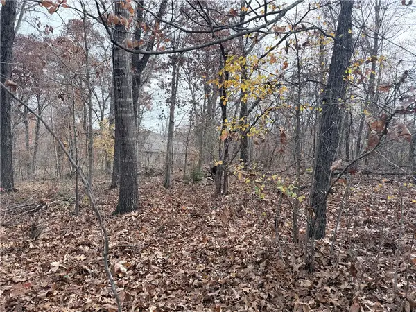 Aaron Lane, Bella Vista, AR 72715