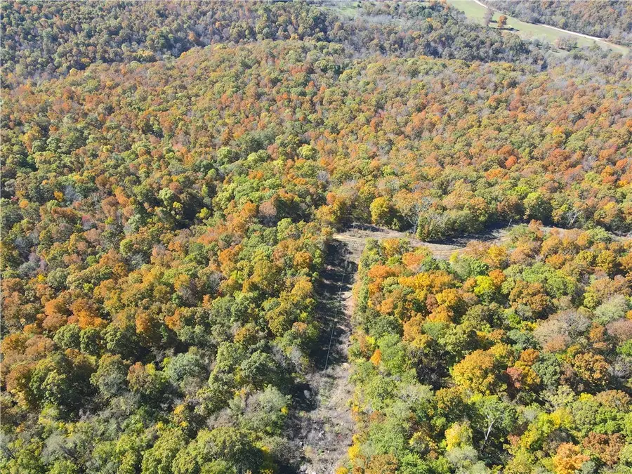 Cr 935, Berryville, AR 72616 - Image #2