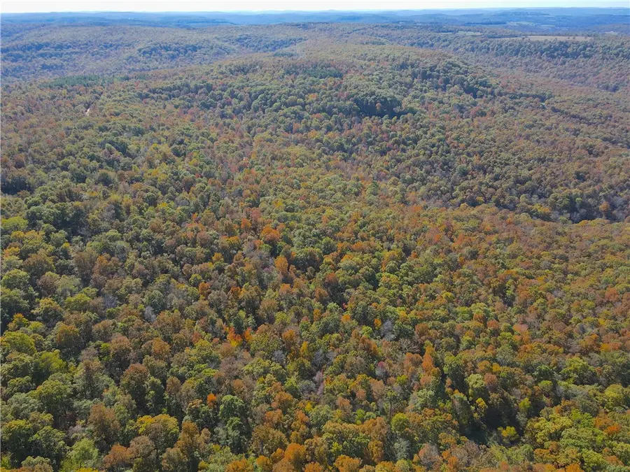 Cr 935, Berryville, AR 72616 - Image #3