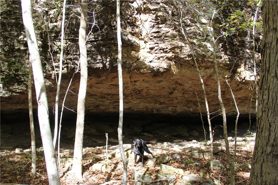 Cr 935, Berryville, AR 72616 - Image #2