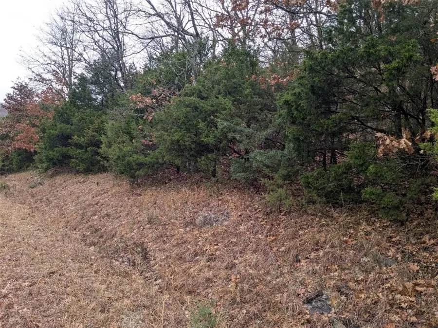 TBD Starlite Avenue, Holiday Island, AR 72631 - Image #3