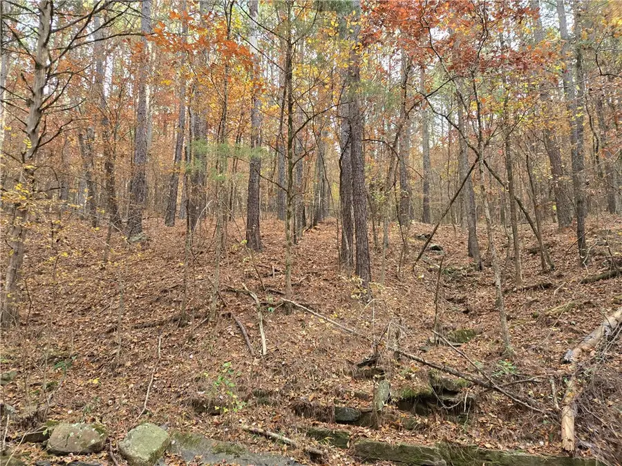 00 Cedar Branch, Hattieville, AR 72063 - #2