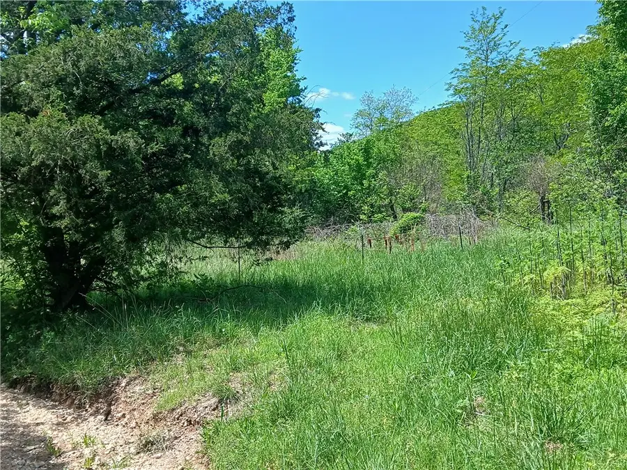 642 County Road 605, Green Forest, AR 72638 - Image #3
