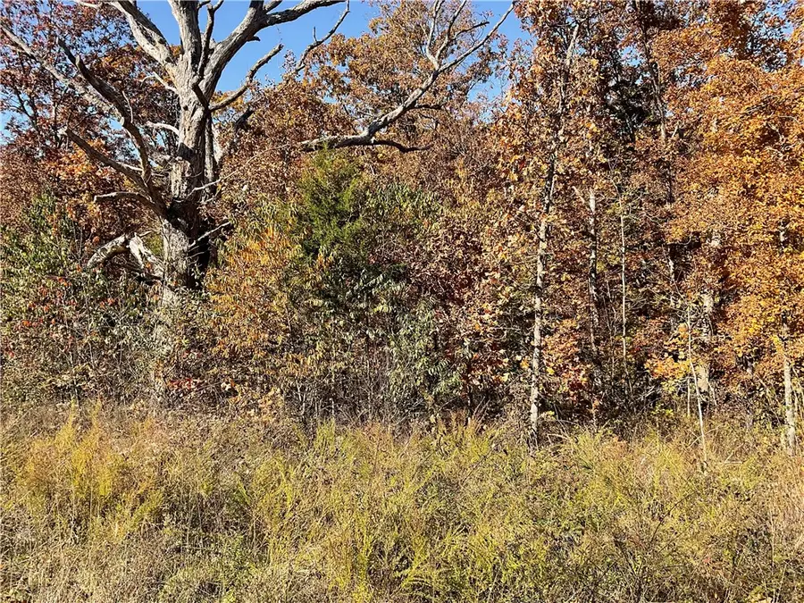 TBD Forfar Drive, Bella Vista, AR 72715 - Image #3
