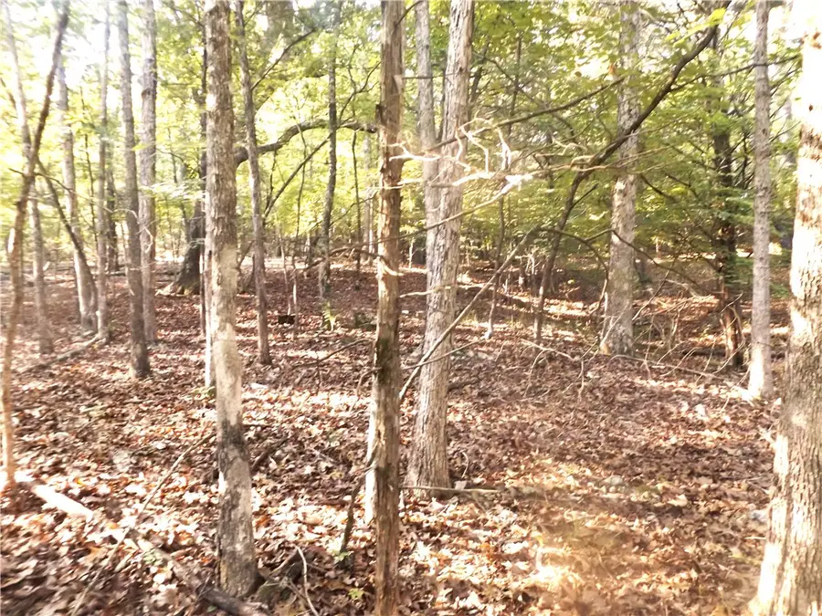Lot 16 Blk 6 Antler Pass, Henderson, AR 72544 - Image #2