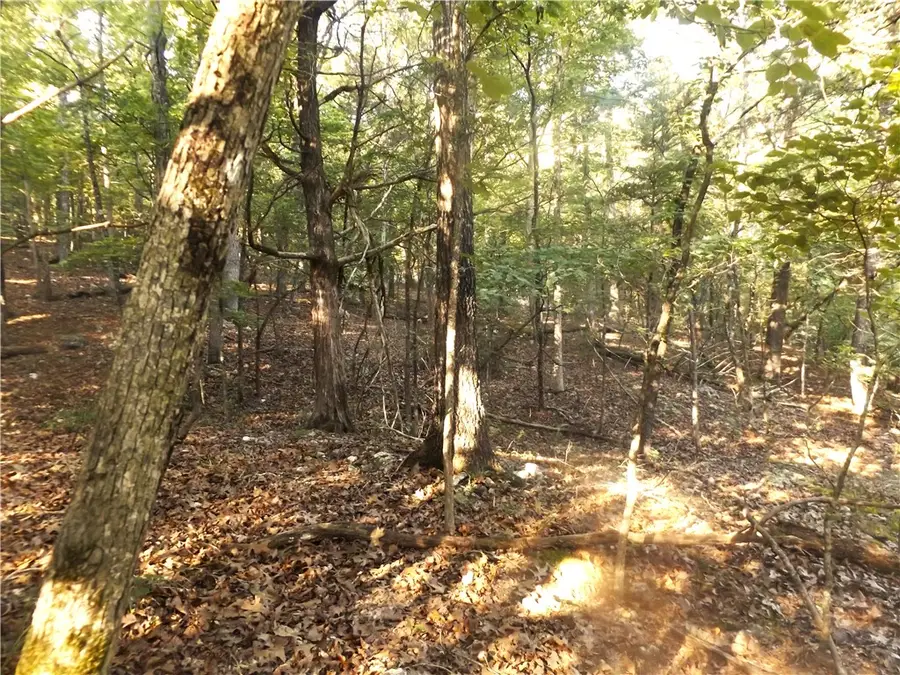 Lot 16 Blk 6 Antler Pass, Henderson, AR 72544 - Image #3