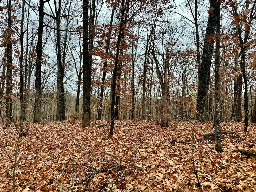 Lot 19 Block 8 Letchworth Drive, Bella Vista, AR 72714 - Image #3